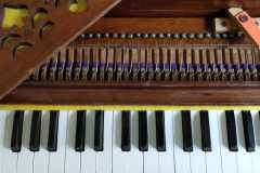 WhatsApp-Image-2019-09-24-at-10.13.11-AM